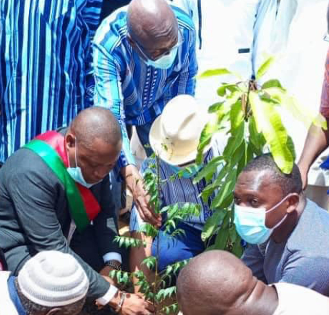 reboisement-Association-Panni-Panni-de-Ouazi